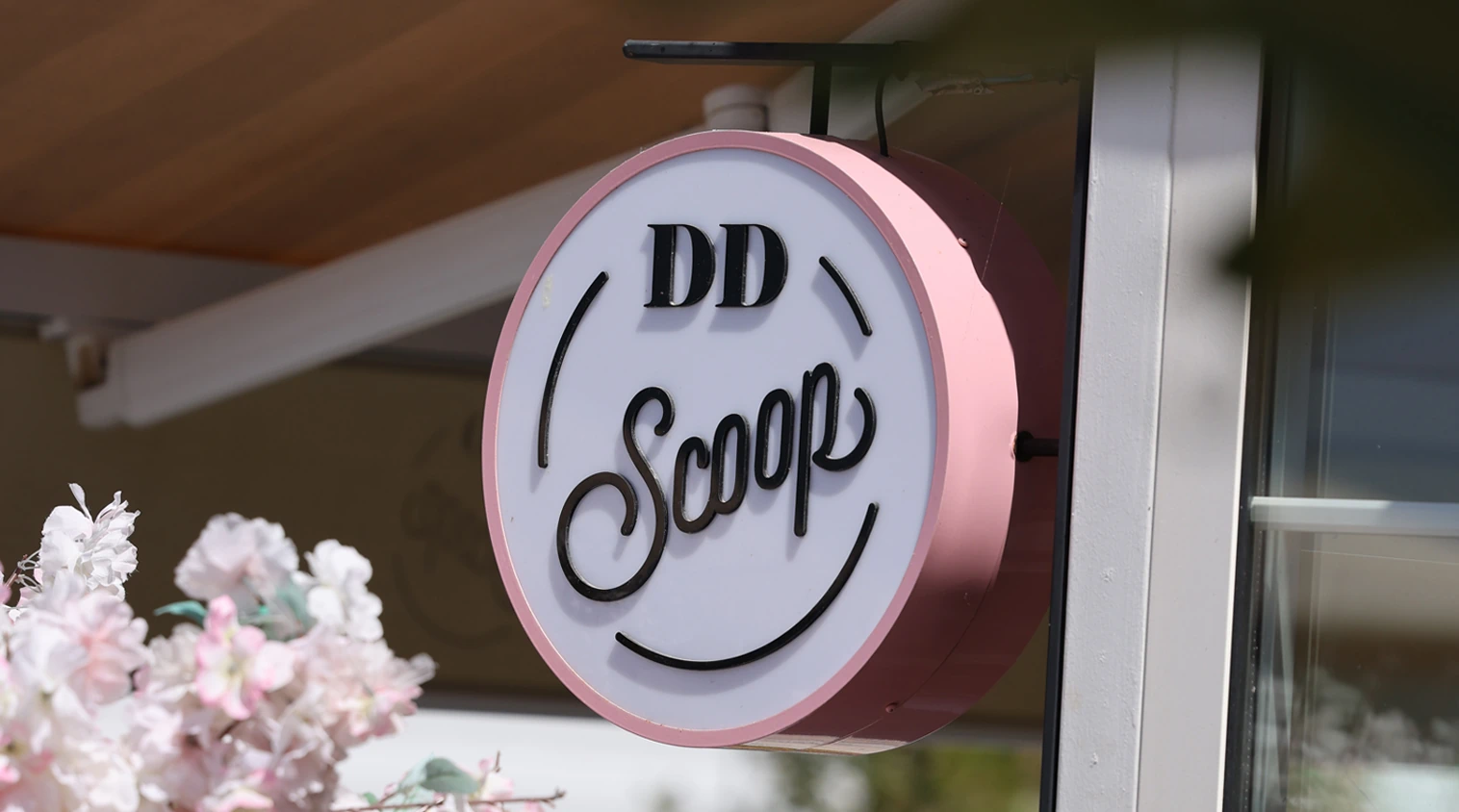 ddscoop-1-en