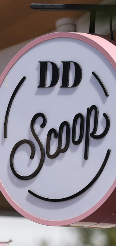 ddscoop-1-en