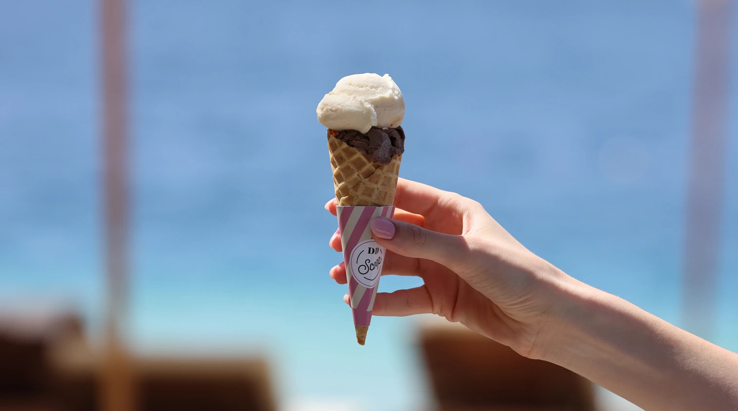 ddscoop-2-en