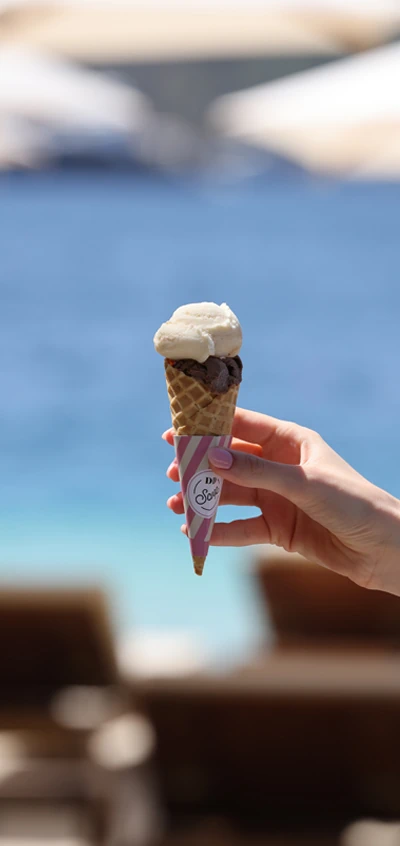 ddscoop-2-en