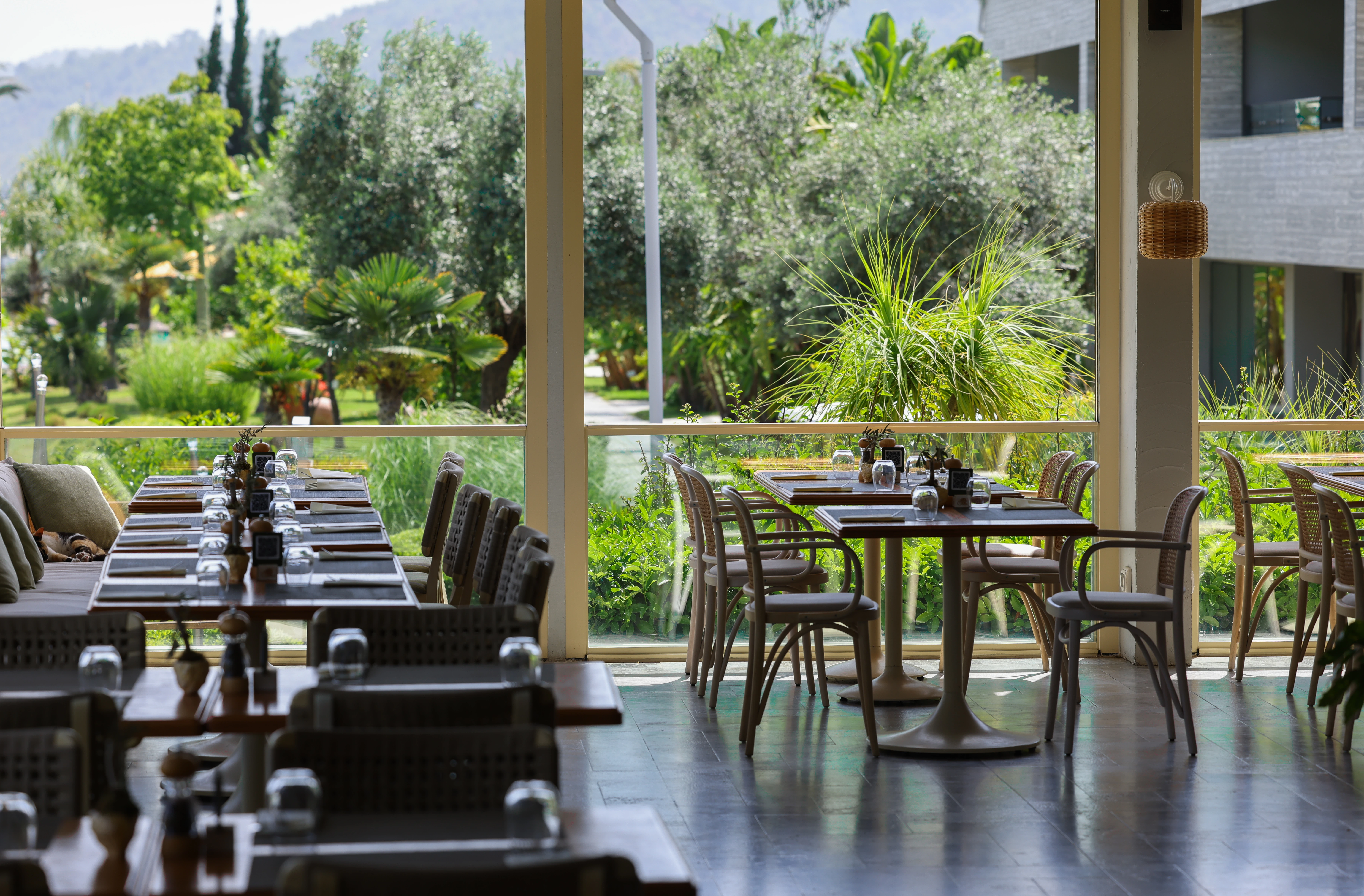 Dish presentation at Olives restaurant, D Resort Gocek